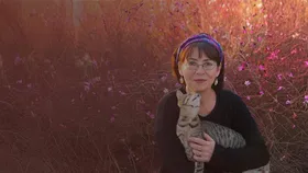 İlkay Akkaya