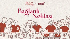Bağlantı Noktası
