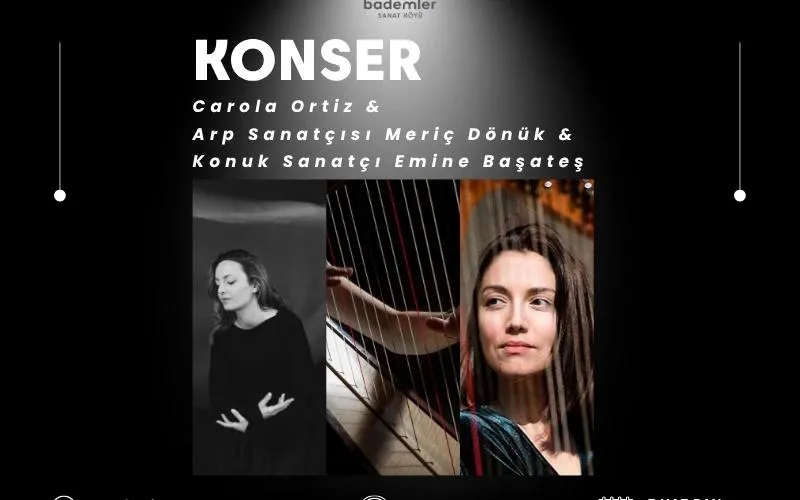Meriç Dönük