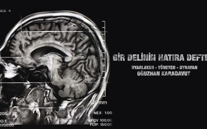 Bir Delinin Hatıra Defteri - Oğuzhan Karadavut